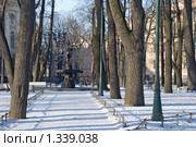 Аллея в Румянцевском саду. Санкт-Петербург (2009 год). Стоковое фото, фотограф Александр Щепин / Фотобанк Лори