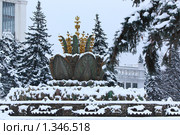 Фонтан "Каменный цветок" (2010 год). Редакционное фото, фотограф Елена / Фотобанк Лори