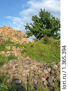 Старые камни. Стоковое фото, фотограф Владимир Блинов / Фотобанк Лори