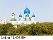 Никло-Перервинский монастырь. Москва (2009 год). Стоковое фото, фотограф Александр Щепин / Фотобанк Лори