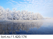 Заснеженные деревья, отражающиеся в ледяной воде Иматранского водохранилища. Иматра, Финляндия (2010 год). Стоковое фото, фотограф Татьяна Савватеева / Фотобанк Лори