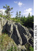 Долина Сказок (2009 год). Редакционное фото, фотограф Николай Бунаков / Фотобанк Лори