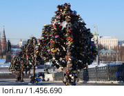 Дерево с замками новобрачных на Лужковом мосту. Москва. Стоковое фото, фотограф E. O. / Фотобанк Лори