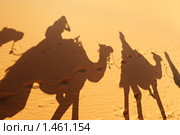 Караван (2009 год). Стоковое фото, фотограф Елена Филина / Фотобанк Лори