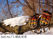 Проводы зимы. Стоковое фото, фотограф Елена Ильина / Фотобанк Лори