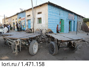 Ослиная стоянка (2010 год). Редакционное фото, фотограф Free Wind / Фотобанк Лори