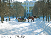 Катание в санях в усадьбе "Архангельское" (2010 год). Редакционное фото, фотограф Глазков Владимир / Фотобанк Лори