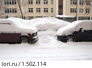 Припорошило... (2010 год). Стоковое фото, фотограф Елена Ильина / Фотобанк Лори