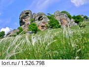 Ковыль на фоне скал массива Южный Демерджи. Стоковое фото, фотограф Егор Никифоров / Фотобанк Лори