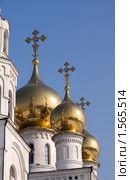 Купола Спасо-Преображенского собора на фоне голубого неба. Стоковое фото, фотограф Игорь Боголюбов / Фотобанк Лори
