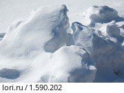 Комки снега. Стоковое фото, фотограф Сергей Кулигин / Фотобанк Лори