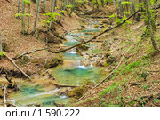 Желтая река рядом с водопадом Серебряные струи. Большой каньон, Крым (2009 год). Стоковое фото, фотограф Титаренко Елена / Фотобанк Лори