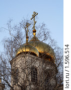 Купола России и русские берёзы (2010 год). Стоковое фото, фотограф Марина Сапрунова / Фотобанк Лори