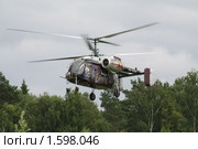 Архстояние-2009. Вертолет над лесом. Редакционное фото, фотограф Устинова Мария / Фотобанк Лори