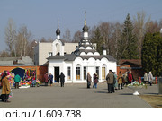 Николо-Архангельское кладбище (2010 год). Редакционное фото, фотограф Parmenov Pavel / Фотобанк Лори