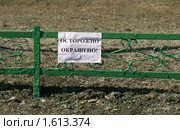 Осторожно, окрашено! Стоковое фото, фотограф Щеголева Ольга / Фотобанк Лори