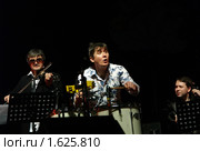 Олег "Шар" Шавкунов, Андрей Суротдинов. Группа "Аквариум" (2010 год). Редакционное фото, фотограф Ольга Визави / Фотобанк Лори