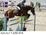 Хрустальное седло 2009. Маршрут 140 см. Вадим Коновалов  (Россия) на лошади по кличке Альваро Гранде. Редакционное фото, фотограф Устинова Мария / Фотобанк Лори
