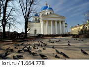 Троицкий (Измайловский) собор. Сооружен в 1828-35, архитектор - В.П. Стасов. Санкт-Петербург (2010 год). Стоковое фото, фотограф Смирнов Павел / Фотобанк Лори