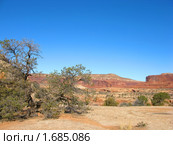 Земля каньонов, Юта, США (2008 год). Стоковое фото, фотограф Валентина Троль / Фотобанк Лори