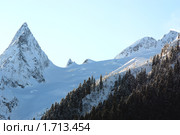 Горы и лес. Стоковое фото, фотограф Евгения Полянская / Фотобанк Лори