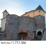Замок Паланок в Мукачево (Закарпатья, Украина) Стоковое фото, фотограф Юрий Брыкайло / Фотобанк Лори