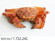 Краб волосатик (Erimacrus isenbeckii ) Стоковое фото, фотограф Ирина Игумнова / Фотобанк Лори