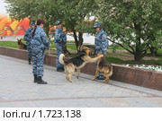 Минутка отдыха (Кинологи с собаками перед репетицией парада Победы) (2010 год). Редакционное фото, фотограф Валерия Попова / Фотобанк Лори