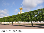 Гербовый корпус Большого дворца. Верхний сад, Петергоф. Санкт-Петербург (2010 год). Редакционное фото, фотограф LightLada / Фотобанк Лори