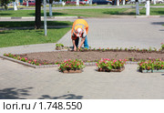 Озеленение города (2010 год). Стоковое фото, фотограф Alechandro / Фотобанк Лори