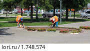 Рабочие  озеленители сажают цветы на улице (2010 год). Редакционное фото, фотограф Alechandro / Фотобанк Лори