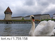 Люцерн, Швейцария (2010 год). Стоковое фото, фотограф Владимир Журавлев / Фотобанк Лори