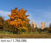 Город Химки. Вид из парка имени Льва Толстого на улицу Кудрявцева (2008 год). Стоковое фото, фотограф Т. З. / Фотобанк Лори
