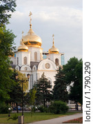 Собор Александра Невского (2010 год). Стоковое фото, фотограф Алексей Букреев / Фотобанк Лори