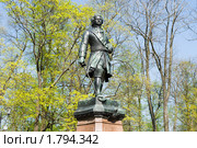 Памятник Петру Первому - основателю Кронштадта (2010 год). Редакционное фото, фотограф Александр Щепин / Фотобанк Лори