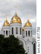 Храм Христа Спасителя. Калининград (2010 год). Стоковое фото, фотограф Svet / Фотобанк Лори