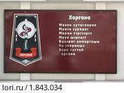 Забайкалье. Стилизованное изображение одного из бурятских родов возле Администрации Агинского Бурятского округа (2010 год). Редакционное фото, фотограф Валерий Лаврушин / Фотобанк Лори