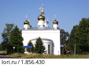 Церковь Троицы Живоначальной (Троицкая церковь). Московская область, Чеховский район, Ваулово (2010 год). Стоковое фото, фотограф Анна Менщикова / Фотобанк Лори