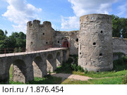 Крепость Копорье. Стоковое фото, фотограф Семёнов Марк / Фотобанк Лори