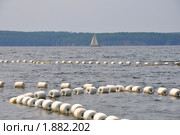 Невод на горбушовой рыбалке на море. Стоковое фото, фотограф Виктор Алеветдинов / Фотобанк Лори