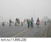 Люди на Красной площади. Смог, дым (2010 год). Редакционное фото, фотограф Алёшина Оксана / Фотобанк Лори