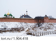 Вид на Спасо-Евфимиев монастырь со стороны реки Каменки (2009 год). Редакционное фото, фотограф Шередеко Катерина / Фотобанк Лори