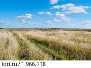 Осеннее поле, дорога и небо. Стоковое фото, фотограф Сергей Кулигин / Фотобанк Лори