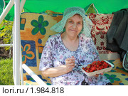 Пожилая женщина с урожаем клубники на даче. Стоковое фото, фотограф Оксана Лычева / Фотобанк Лори
