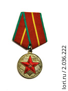 Медаль "За 20 лет безупречной службы" (2010 год). Редакционное фото, фотограф Сергей Пинаев / Фотобанк Лори