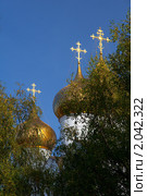 Ярославль. Купола Успенского Кафедрального Собора (2010 год). Стоковое фото, фотограф Алексей Лобанов / Фотобанк Лори