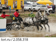 Чемпионат России по драйвингу 2010 в КСК "Свечинский". Экипаж С. Спектра (Россия) преодолевает водное препятствие. Редакционное фото, фотограф Устинова Мария / Фотобанк Лори