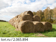 Стога (2010 год). Стоковое фото, фотограф Shchurina Ekaterina / Фотобанк Лори