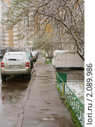 Снег идет (Первый снежок) (2010 год). Редакционное фото, фотограф Валерия Попова / Фотобанк Лори
