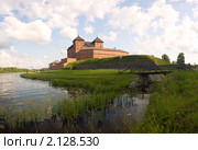 Финляндия. Хямеенлинна. Крепость Хяме (2010 год). Стоковое фото, фотограф Литвяк Игорь / Фотобанк Лори
